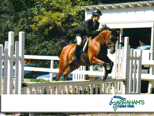 A horse and its rider jumping over an obstacle
