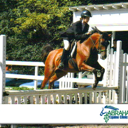 A horse and its rider jumping over an obstacle