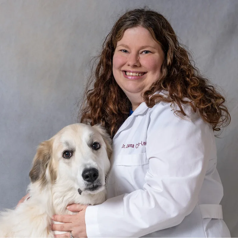 Dr. Donna Clayton-Lee Dr. Donna Clayton-Lee