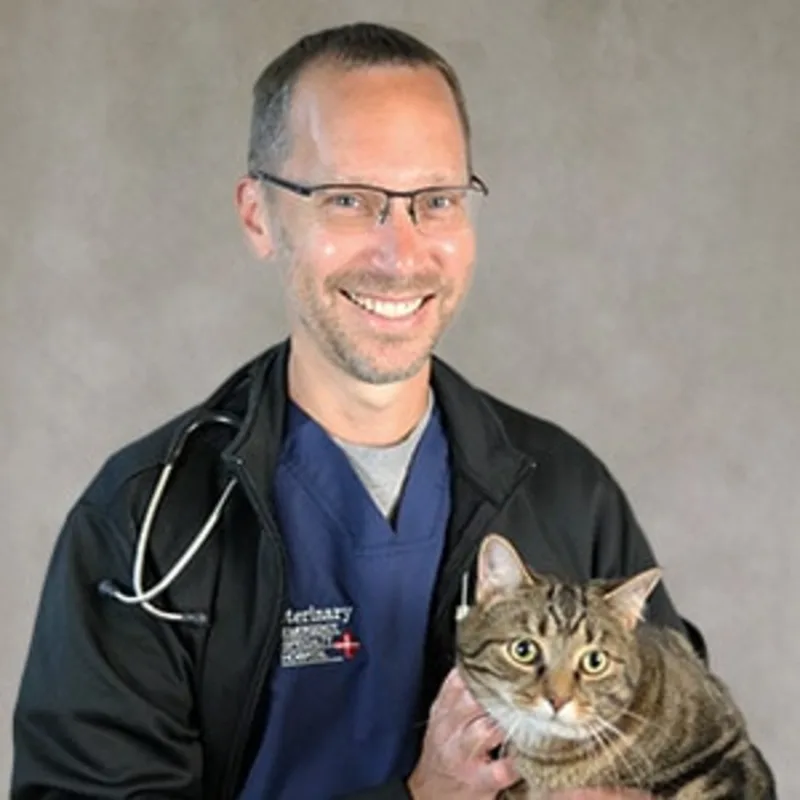 Dr. Scott Trapp smiling in front of a grey backdrop holding a brown cat Dr. Scott Trapp smiling in front of a grey backdrop holding a brown cat