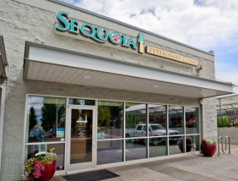 Front Entrance of Sequoia Veterinary Clinic