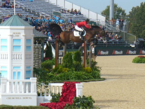 Show horse and rider jumping over gate