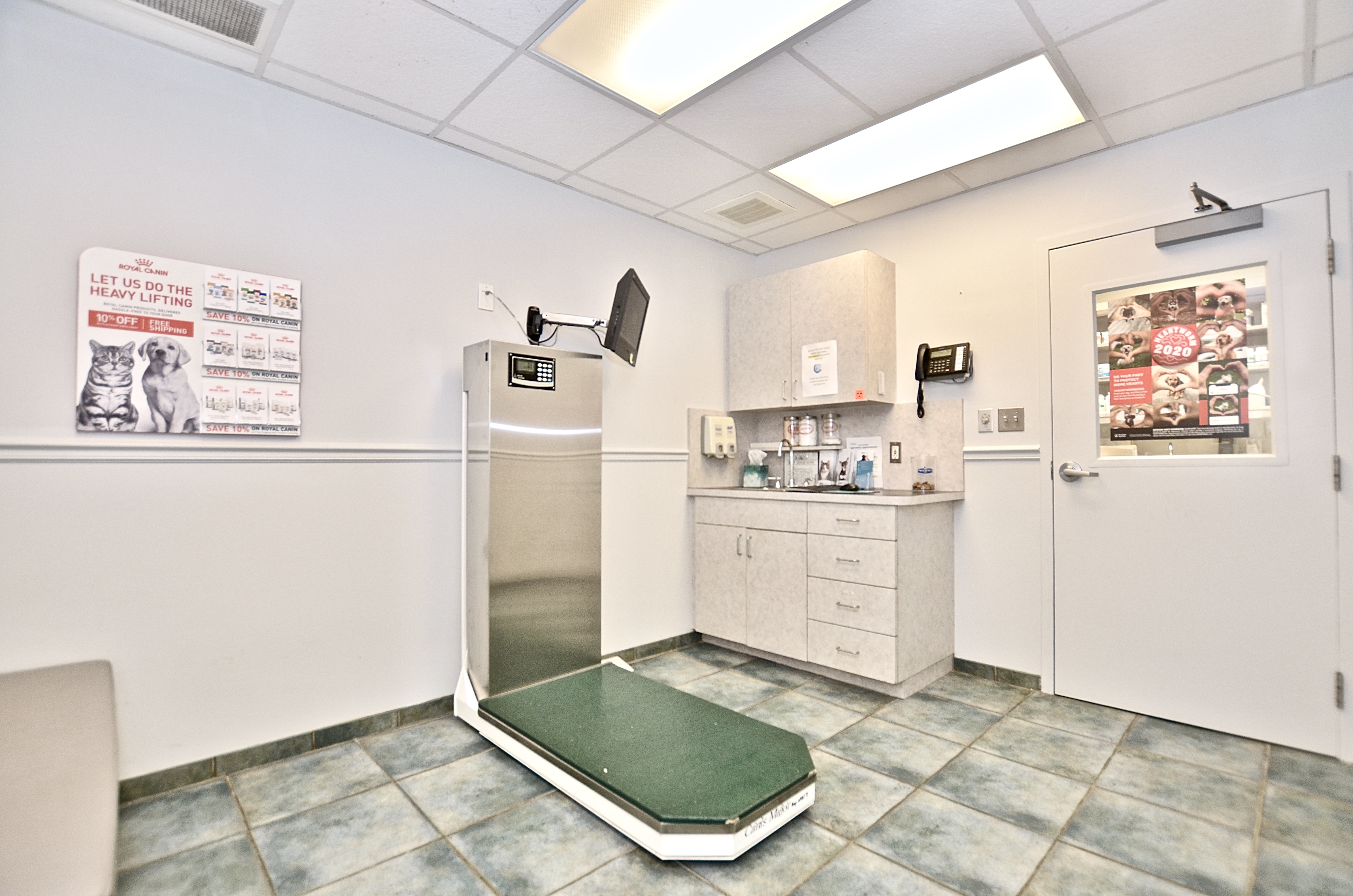 Large Exam Room at Martin Downs Animal Hospital