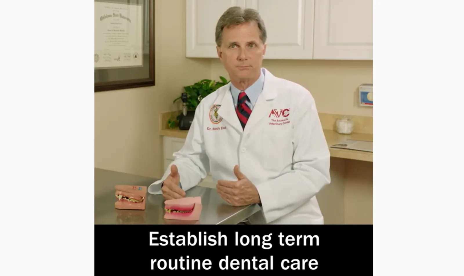 Youtube video of Dr. Eisel speaking about animal teeth cleaning