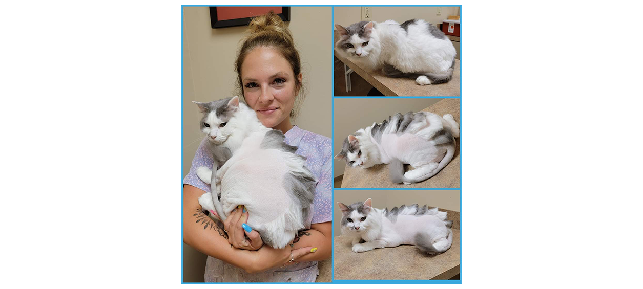 Harmony holding a white and gray cat with a mohawk groom