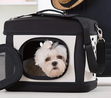 DOG IN AIRPLANE CRATE SUITCASE DOG IN AIRPLANE CRATE SUITCASE