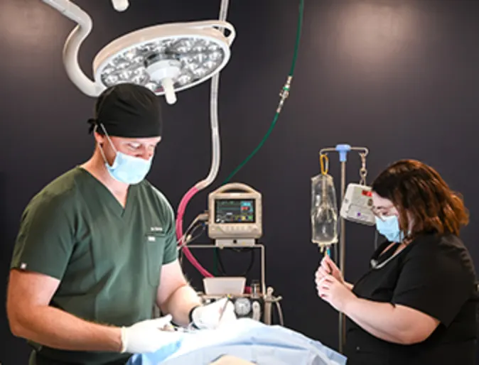 Veterinarians performing surgery Veterinarians performing surgery
