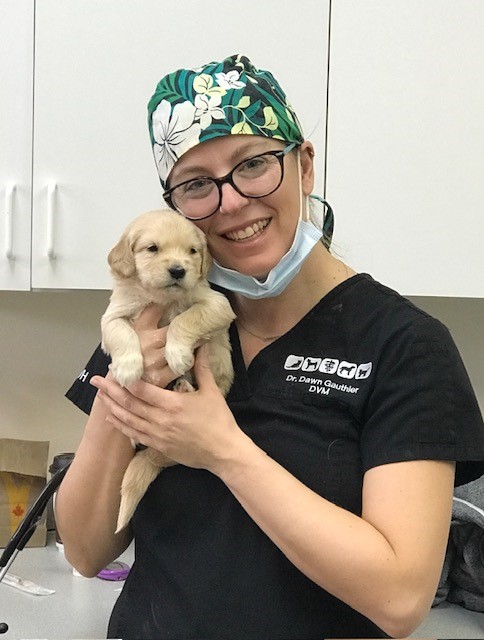 Dr. Dawn Gauthier