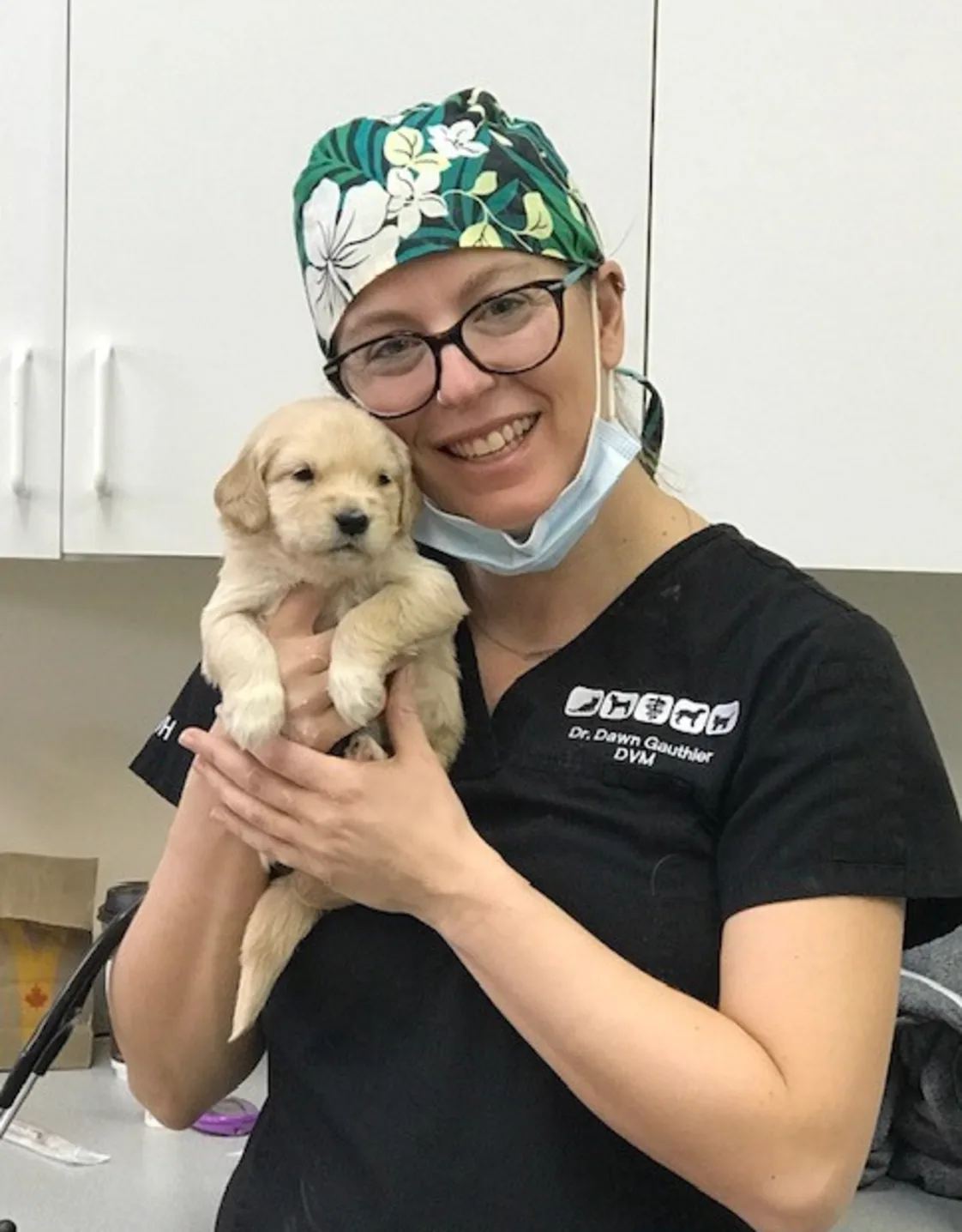 Dr. Dawn Gauthier Dr. Dawn Gauthier