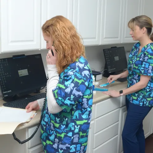 Two veterinary staff standing at computers while one is answering a phone