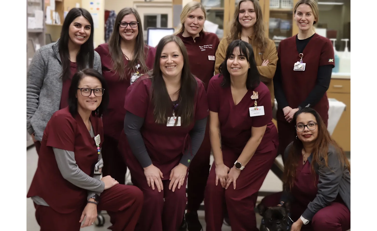 Staff of Upstate Vet Staff of Upstate Vet