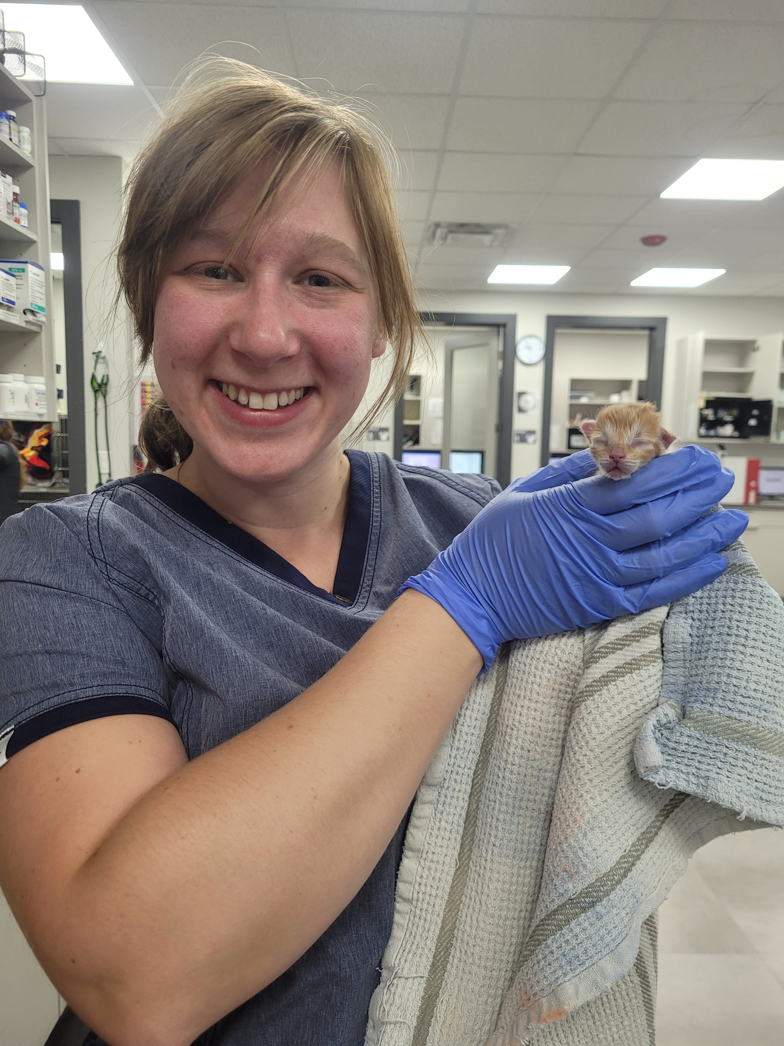 Vet is holding a new born 