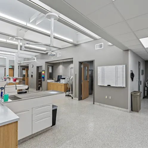 Additional view of Dental Suite Additional view of Dental Suite