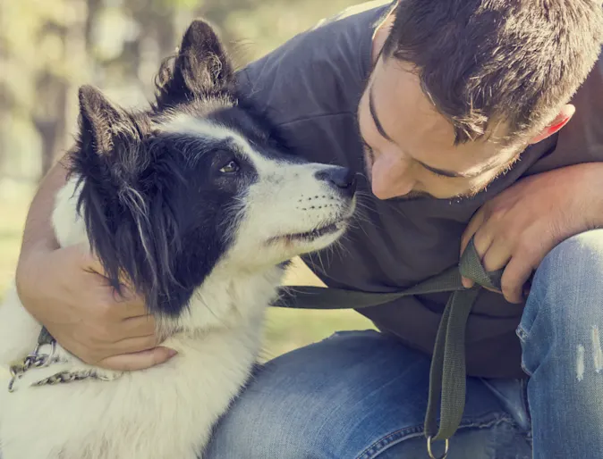 BORDER COLLIE AND MAN LOOKING AT EACH OTHER, HUGGING BORDER COLLIE AND MAN LOOKING AT EACH OTHER, HUGGING