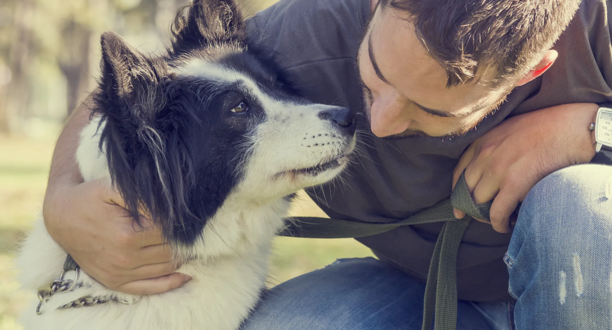 BORDER COLLIE AND MAN LOOKING AT EACH OTHER, HUGGING BORDER COLLIE AND MAN LOOKING AT EACH OTHER, HUGGING