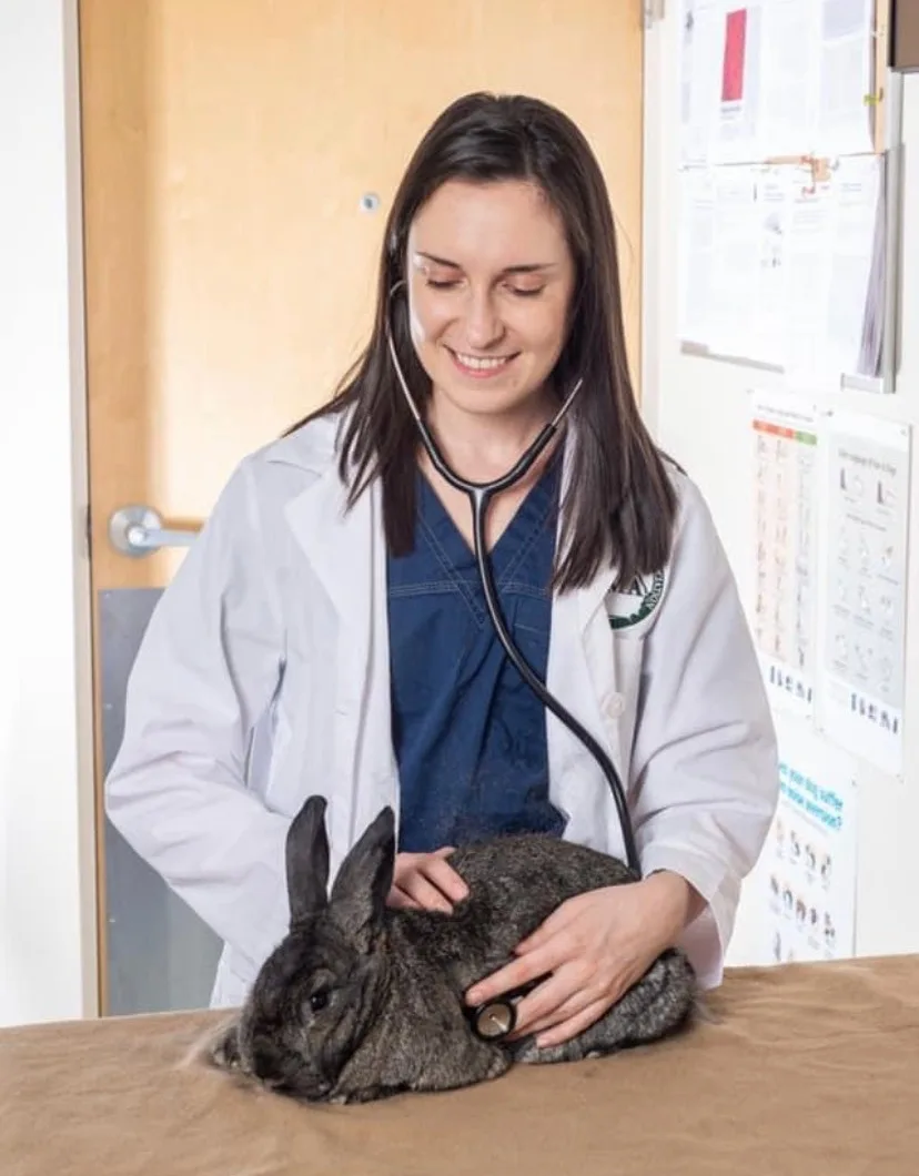 Haylei Bruno with a rabbit