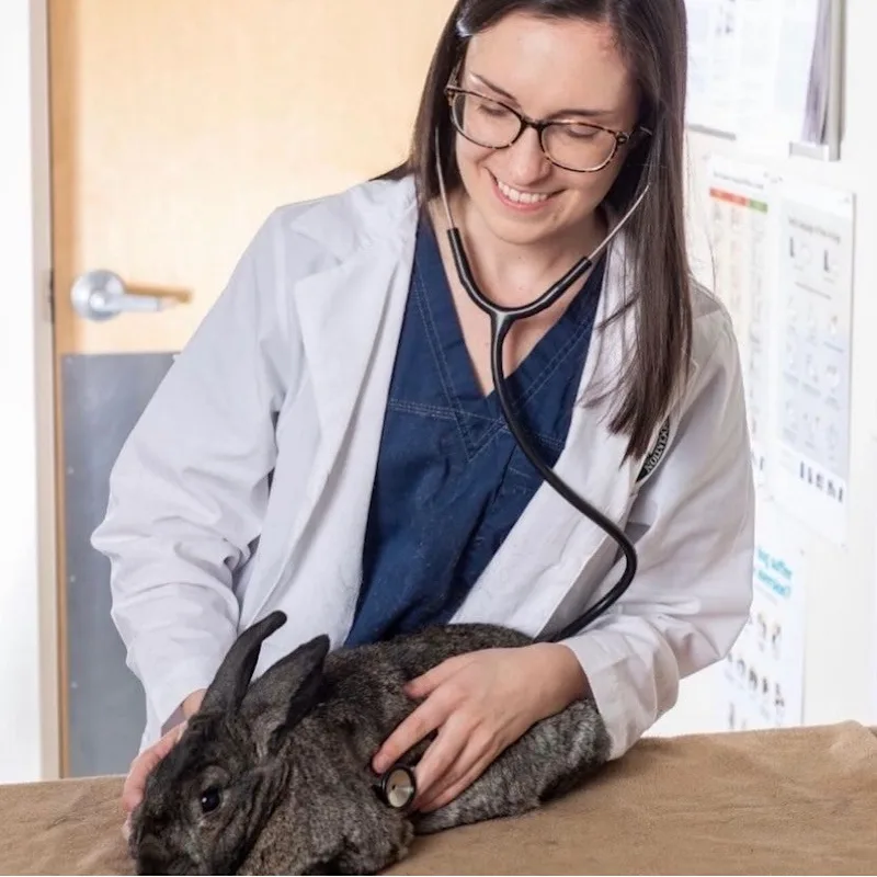 Haylei Bruno with a rabbit Haylei Bruno with a rabbit