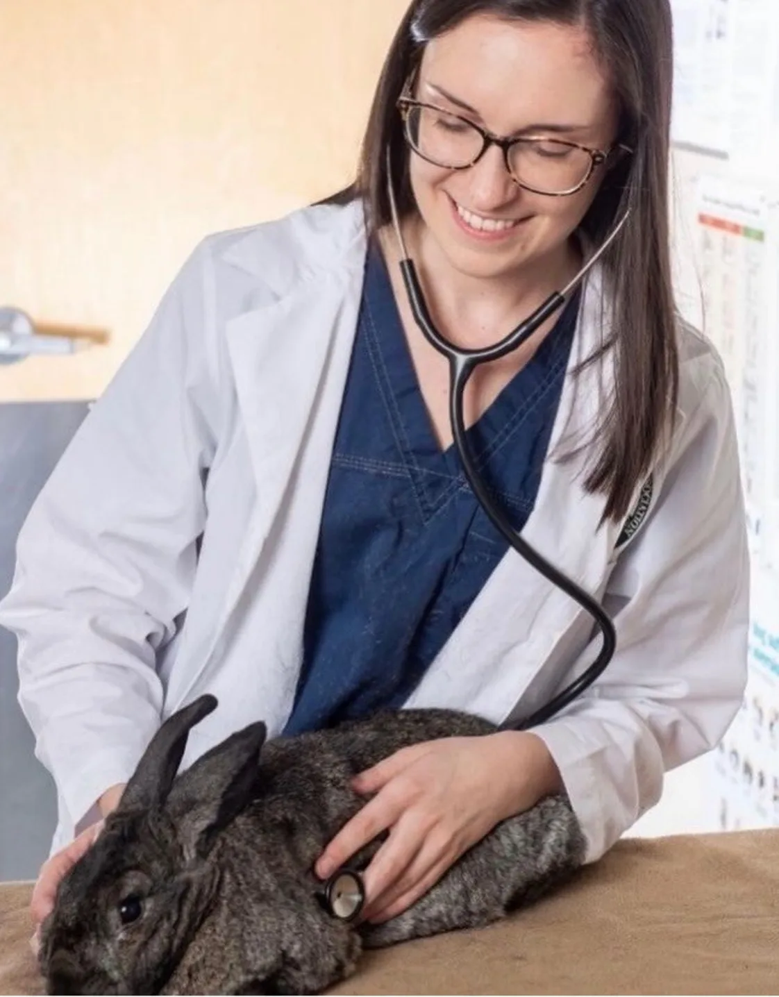 Haylei Bruno with a rabbit Haylei Bruno with a rabbit