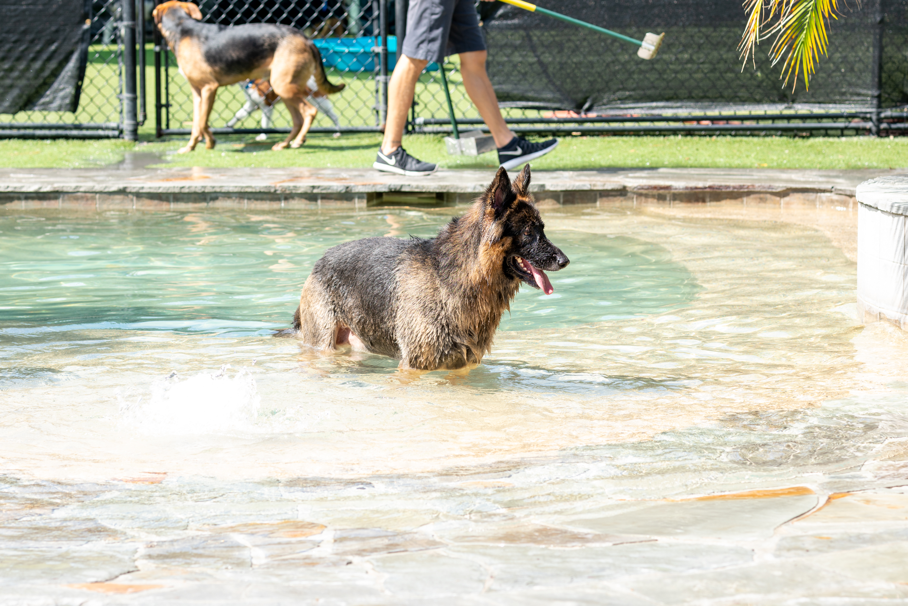 The Lodge at New Tampa Pool Time