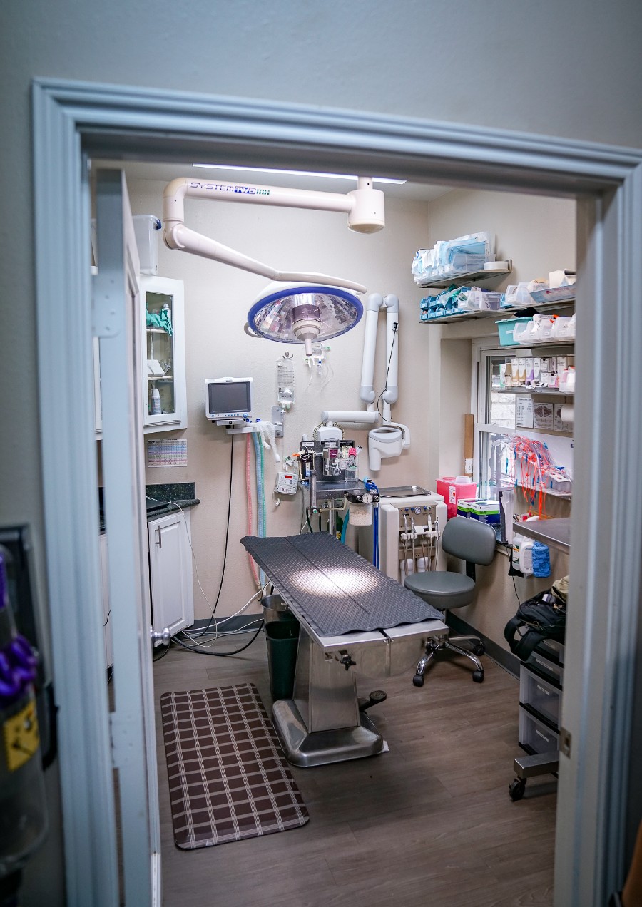 Hill Country Animal Hospital operating table and equipment