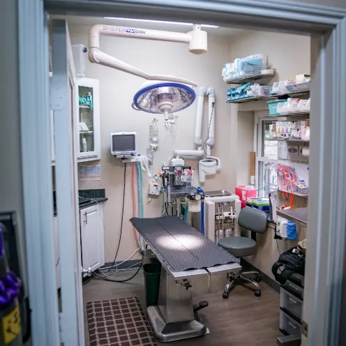 Hill Country Animal Hospital operating table and equipment