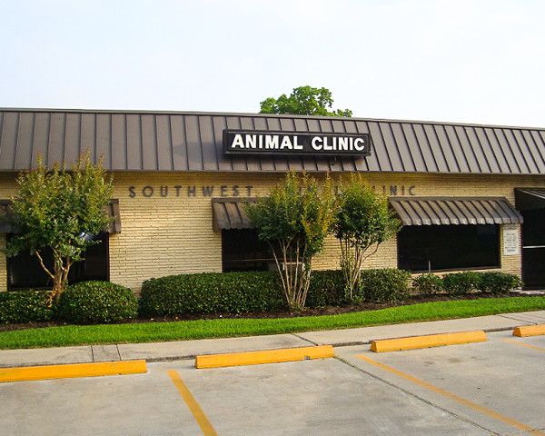 Southwest cheap pet clinic