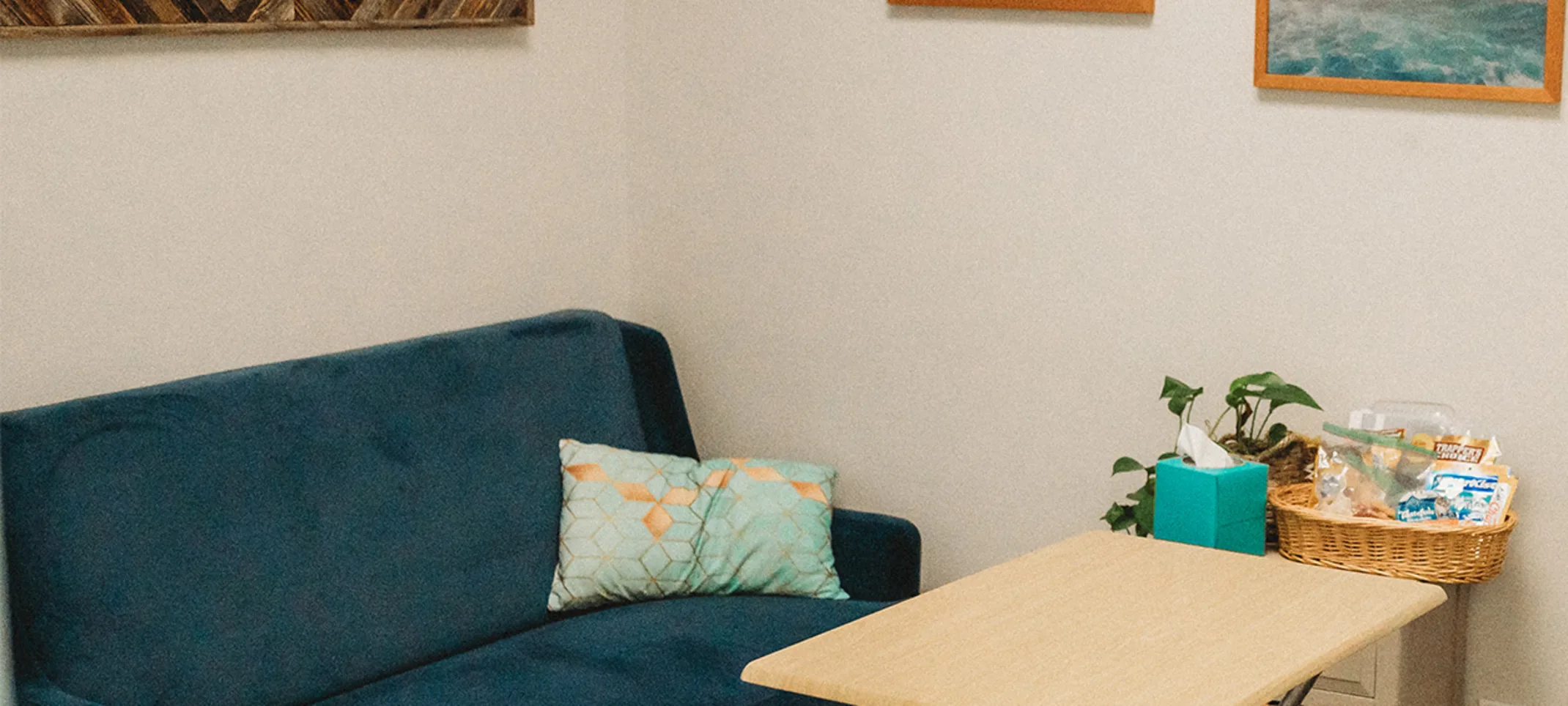 The Greywolf Veterinary Hospital comfort room The Greywolf Veterinary Hospital comfort room