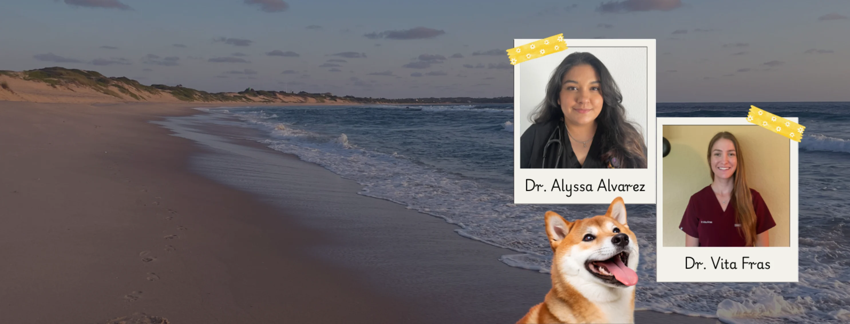 Dr. Alyssa Alvarez and Dr. Vita Fras Dr. Alyssa Alvarez and Dr. Vita Fras