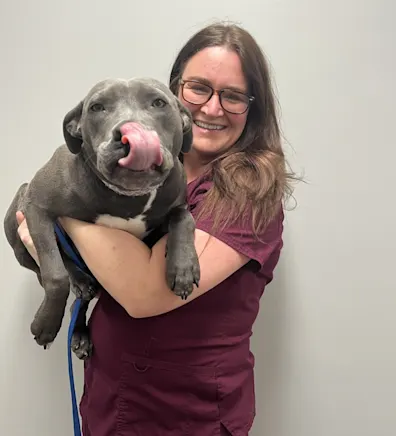 Pencil puppy placeholder Pencil puppy placeholder