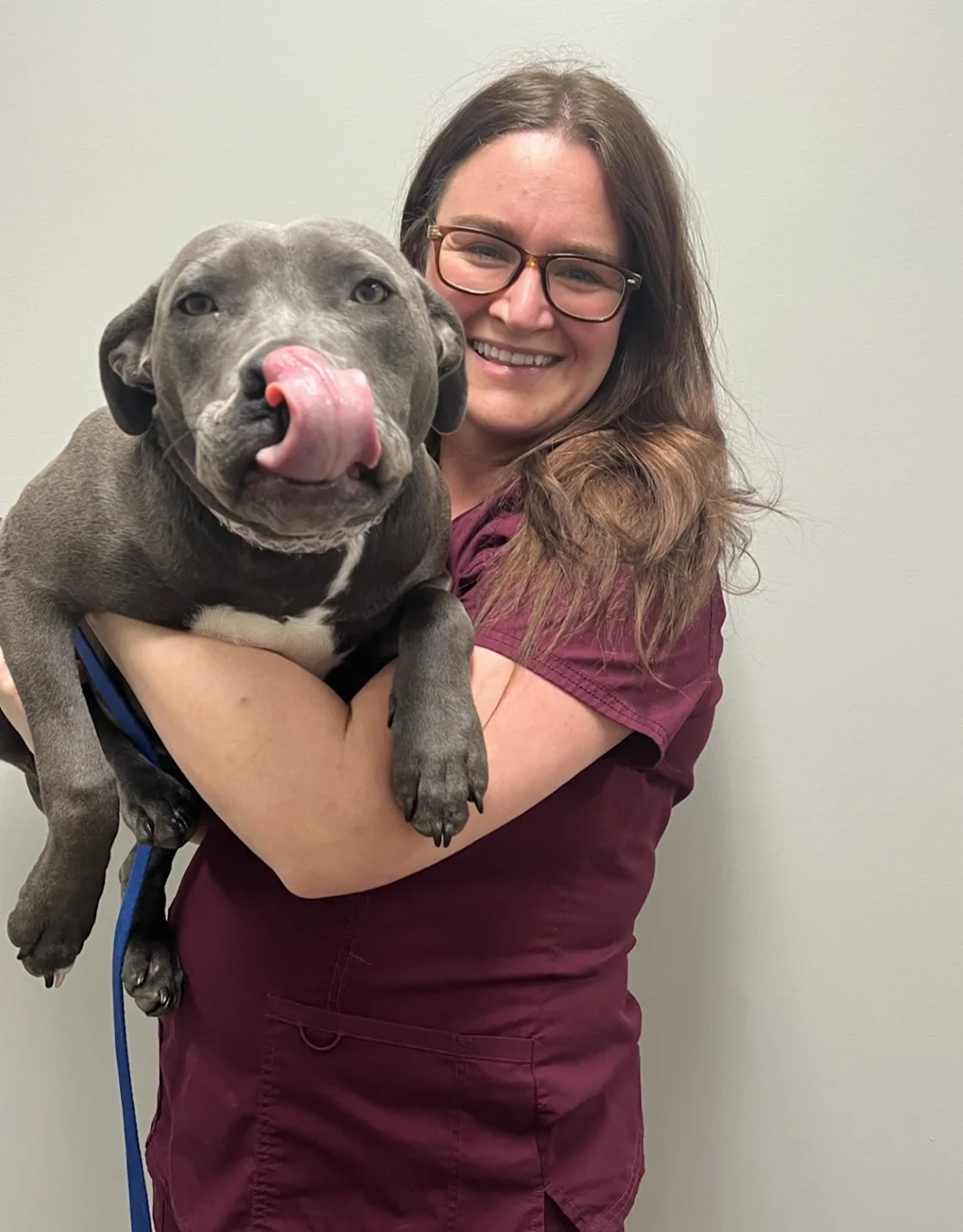 Pencil puppy placeholder Pencil puppy placeholder