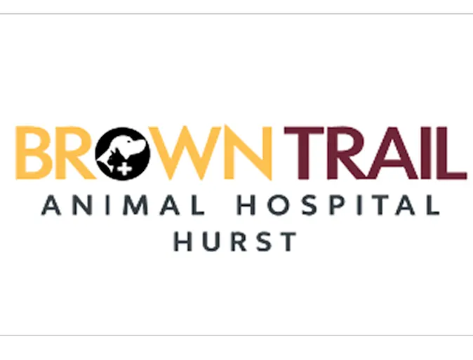 hurst logo hurst logo
