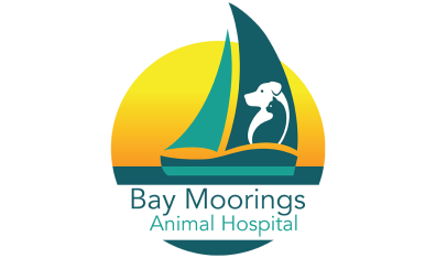 Bay Moorings Animal Hospital-HeaderLogo
