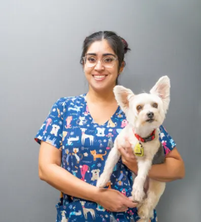 Stephany Pizarro at Gunston & Dale City Animal Hospital Stephany Pizarro at Gunston & Dale City Animal Hospital