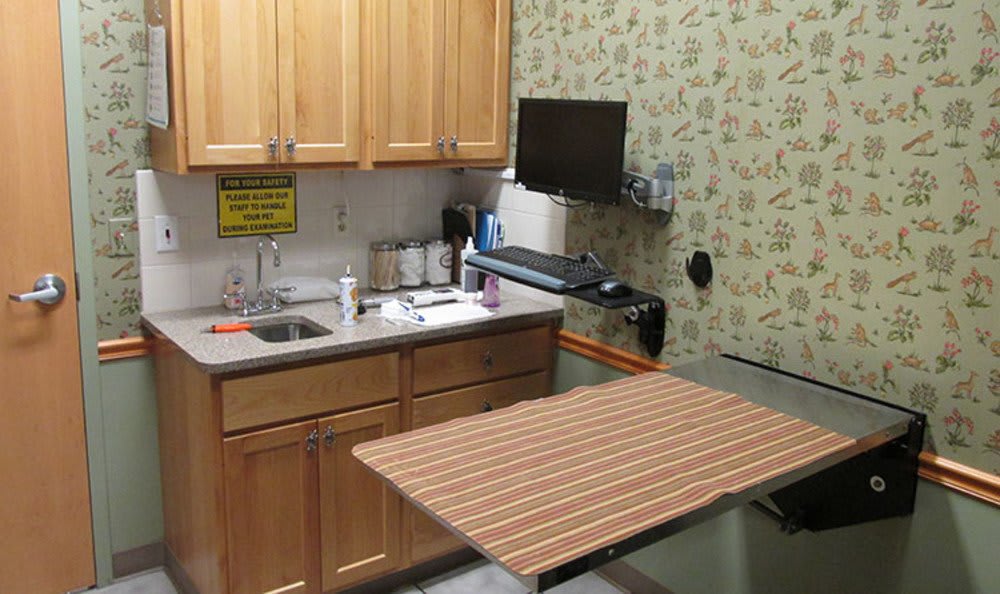 Exam Room and table at Care Animal Hospital