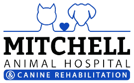 Animal Hospital in Kitchener, ON | Mitchell Animal Hospital