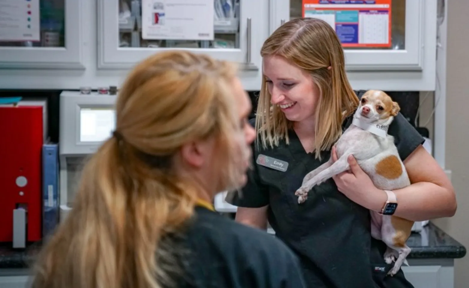 Hill Country staff holding a dog Hill Country staff holding a dog