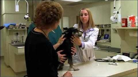 Thumbnail screenshot