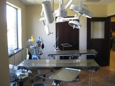 Animal Medical and Surgical Hospital of Frisco Examination Tables