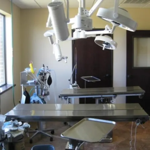 Animal Medical and Surgical Hospital of Frisco Examination Tables