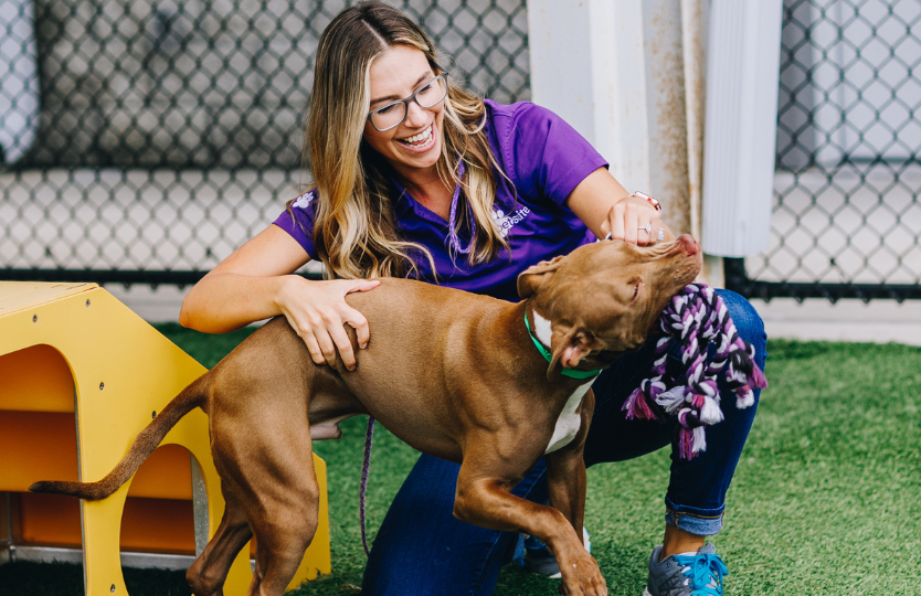 A PetSuites staff member plays with a dog. 