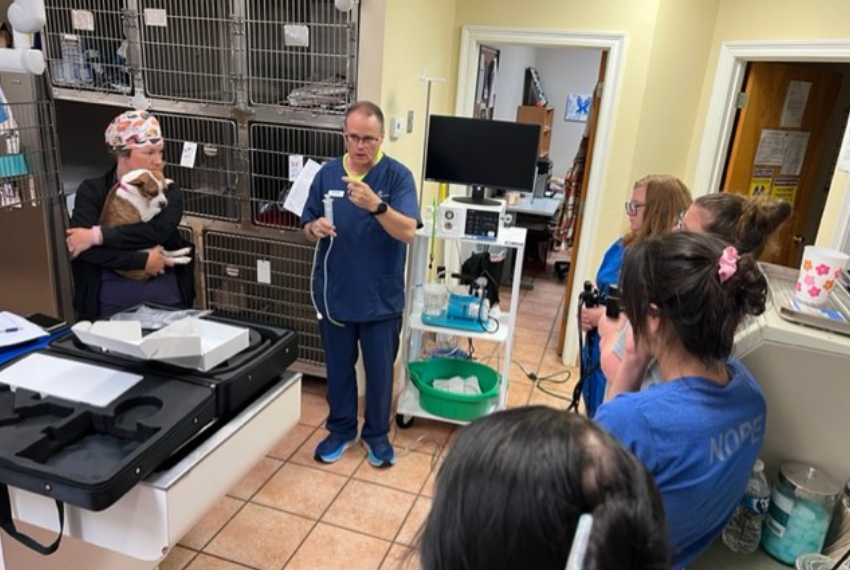 Staff Members Collaborating at Central Baldwin Veterinary Hospital