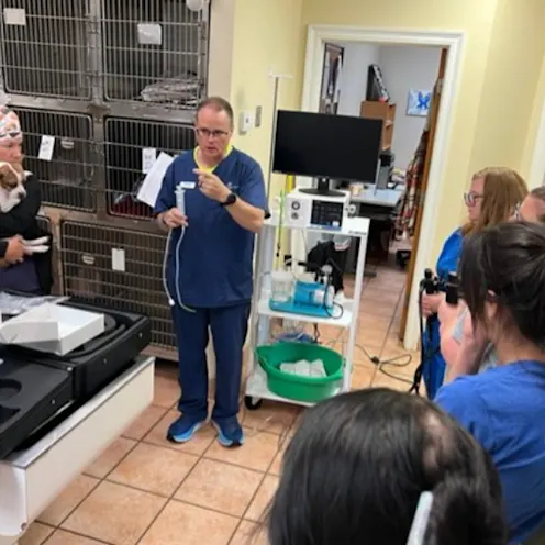 Staff Members Collaborating at Central Baldwin Veterinary Hospital Staff Members Collaborating at Central Baldwin Veterinary Hospital