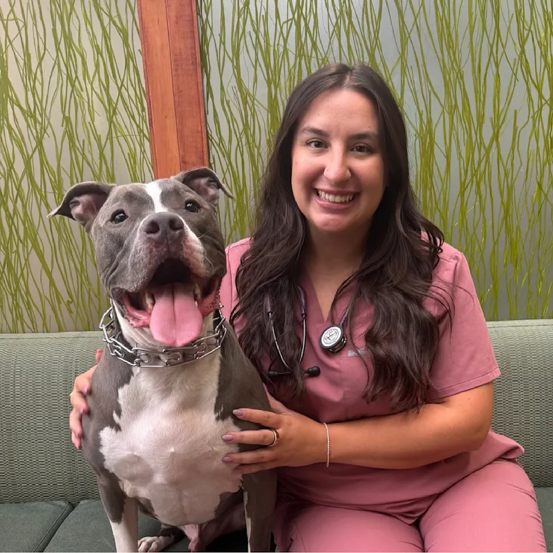 Dr. Alyssa Ramir Dr. Alyssa Ramir