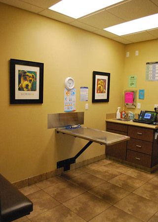 South Temecula Veterinary Hospital Exam Room