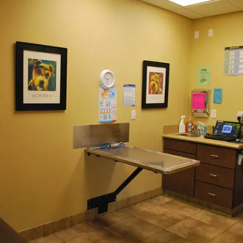South Temecula Veterinary Hospital Exam Room South Temecula Veterinary Hospital Exam Room