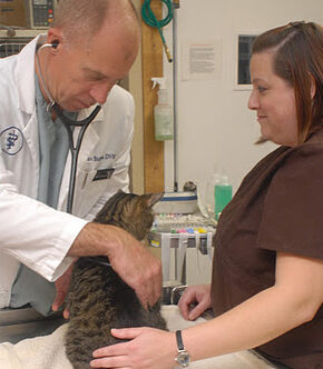 Doctor and staff giving exam