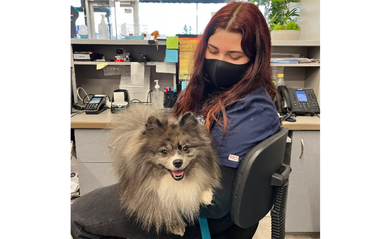 Westview staff member and dog