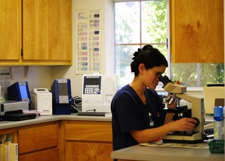 Westside Pet Hospital Lab