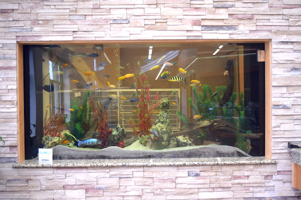 Aquarium