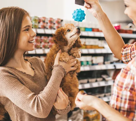 Girl holding dog and dog trying to play with toy